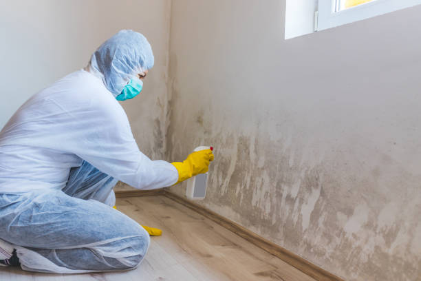 Mold inspector in Oakland performing thermal imaging